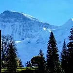 Breithorn Apt-3 By Interhome Wengen