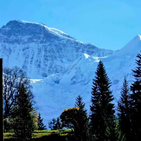 Breithorn Apt-3 By Interhome Wengen