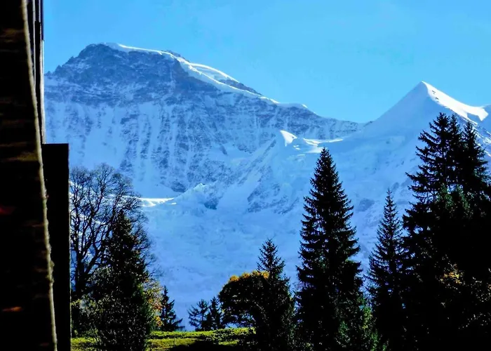 Apartment Breithorn Residence Apt-3 By Interhome Wengen