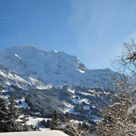 Breithorn Apt-3 By Interhome * Wengen